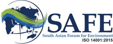 SAFE Logo.png